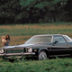 Illustration for article titled Buick Celebrates 40th Anniversary Of Regal